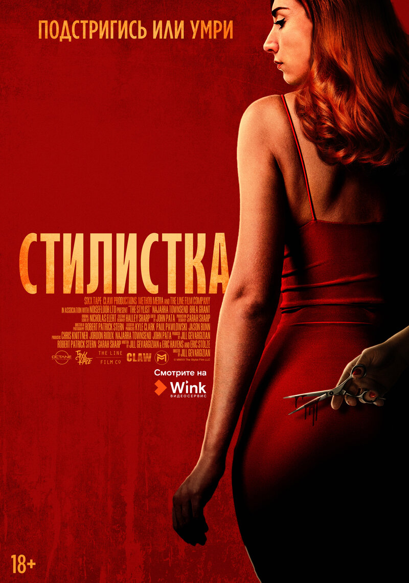 Стилистка (2020) - постер 1