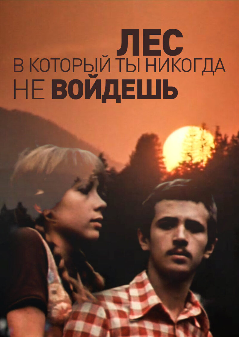 Les, v kotoryy ty nikogda ne voydesh (1978) - poster 1