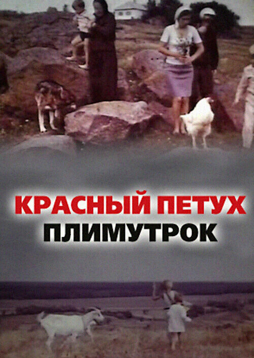 Красный петух плимутрок (1975) - постер 1