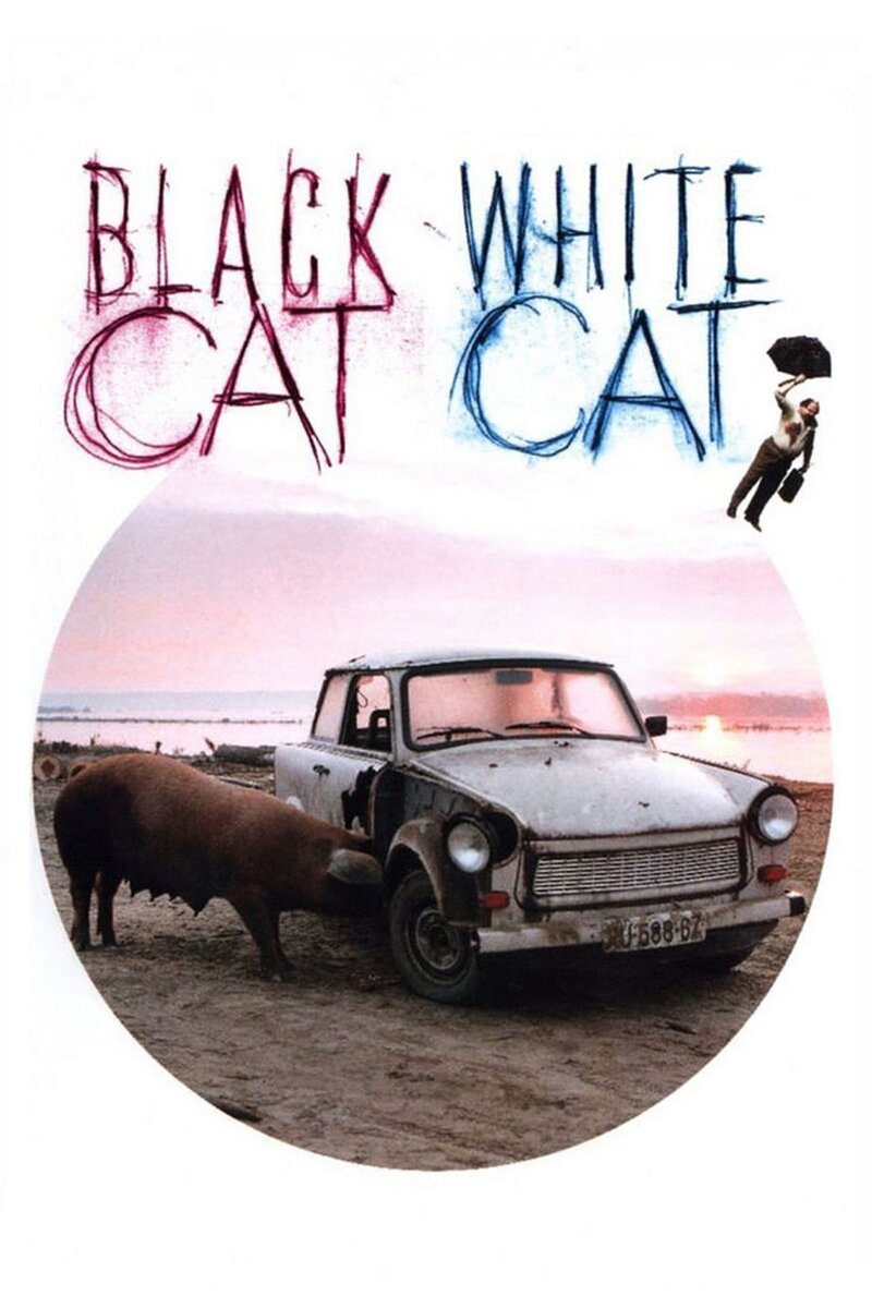 Black Cat, White Cat (1998) - poster 1