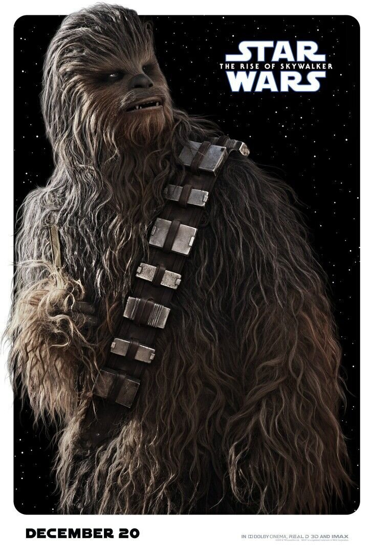 Star Wars Episode IX: The Rise of Skywalker (2019) - poster 5