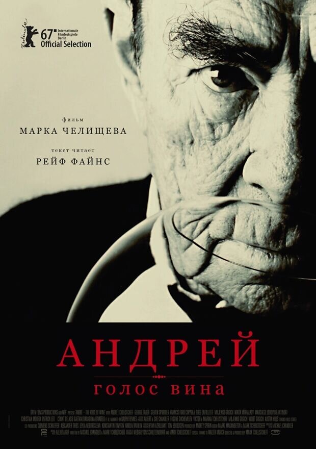 Андрей – Голос вина (2017) - постер 1