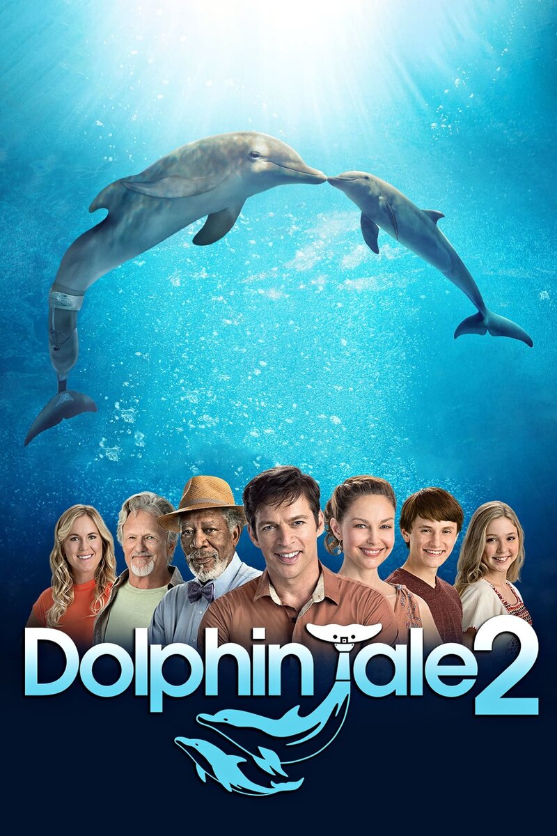 Dolphin Tale 2 (2014) - poster 1