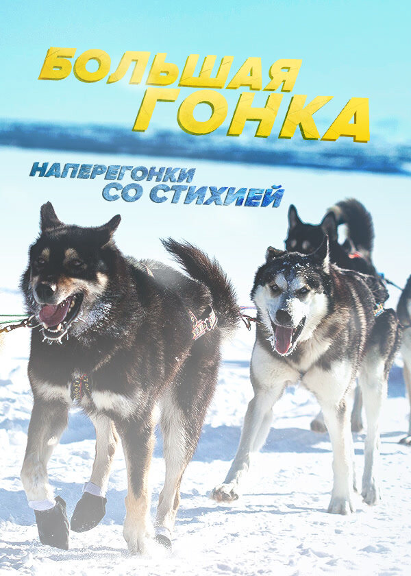 Большая гонка: Наперегонки со стихией (2018) - poster 1