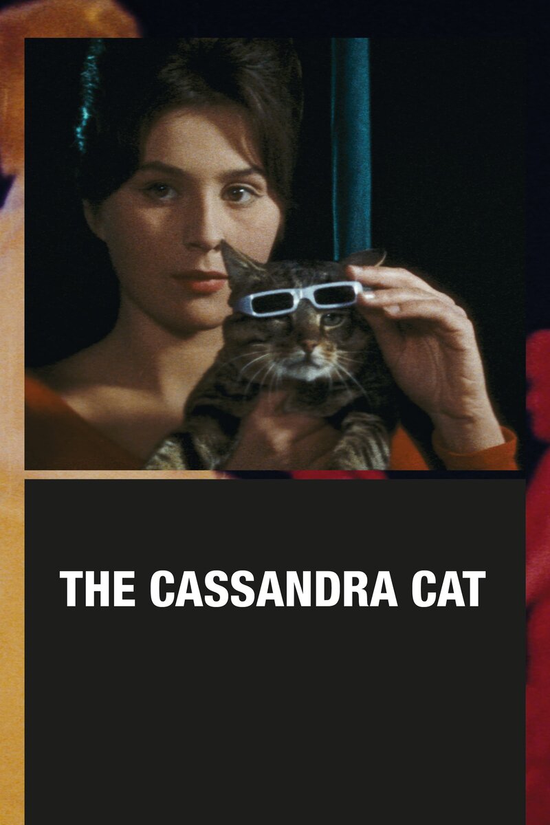 The Cassandra Cat (1963) - poster 1