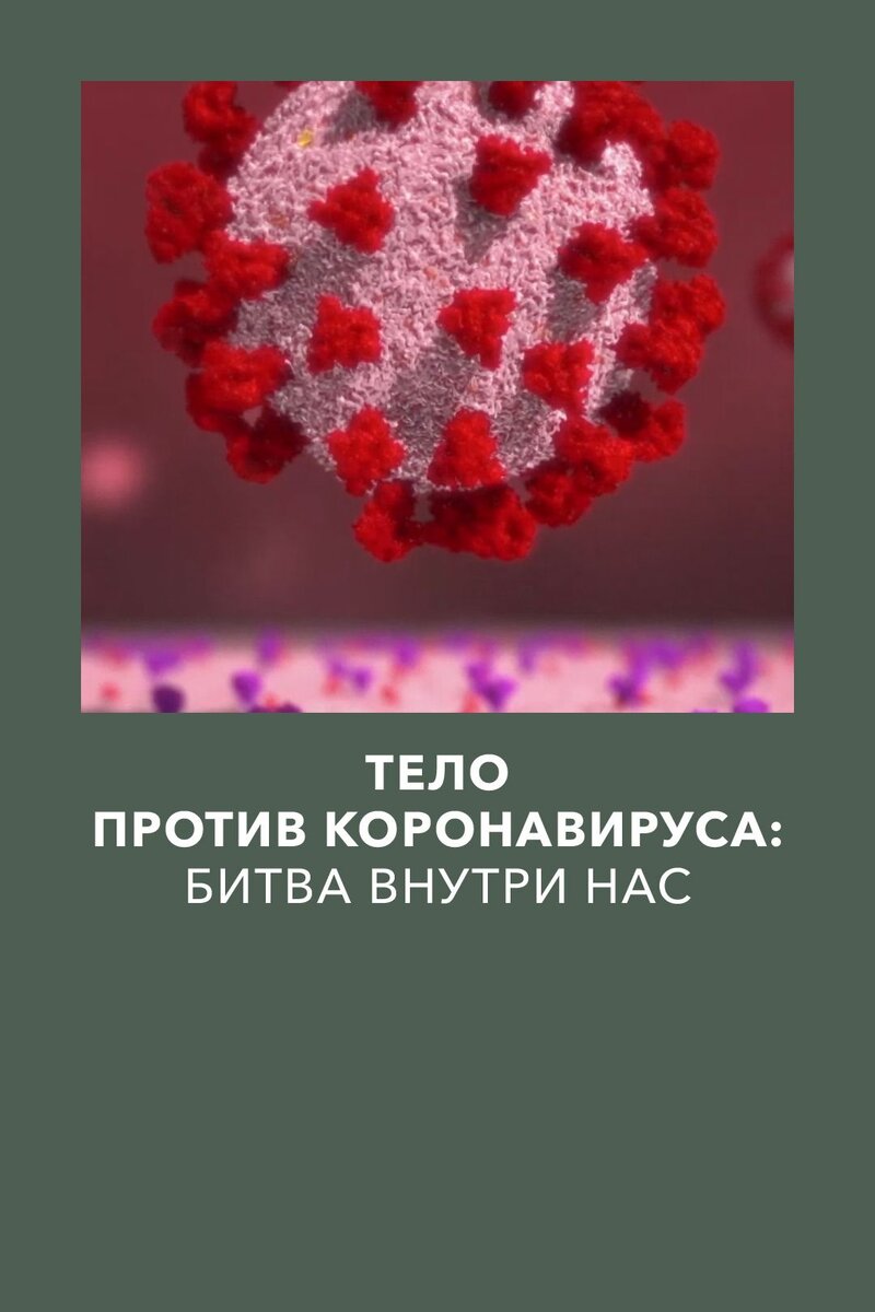 Тело против коронавируса: Битва внутри нас (2020) - постер 1