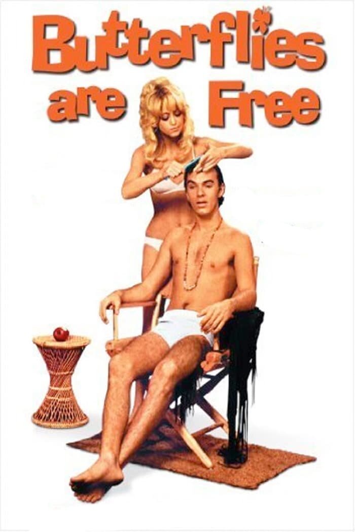 Butterflies Are Free (1972) - poster 2