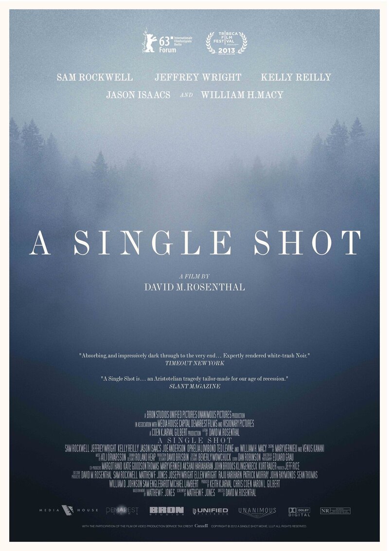 A Single Shot (2013) - poster 3
