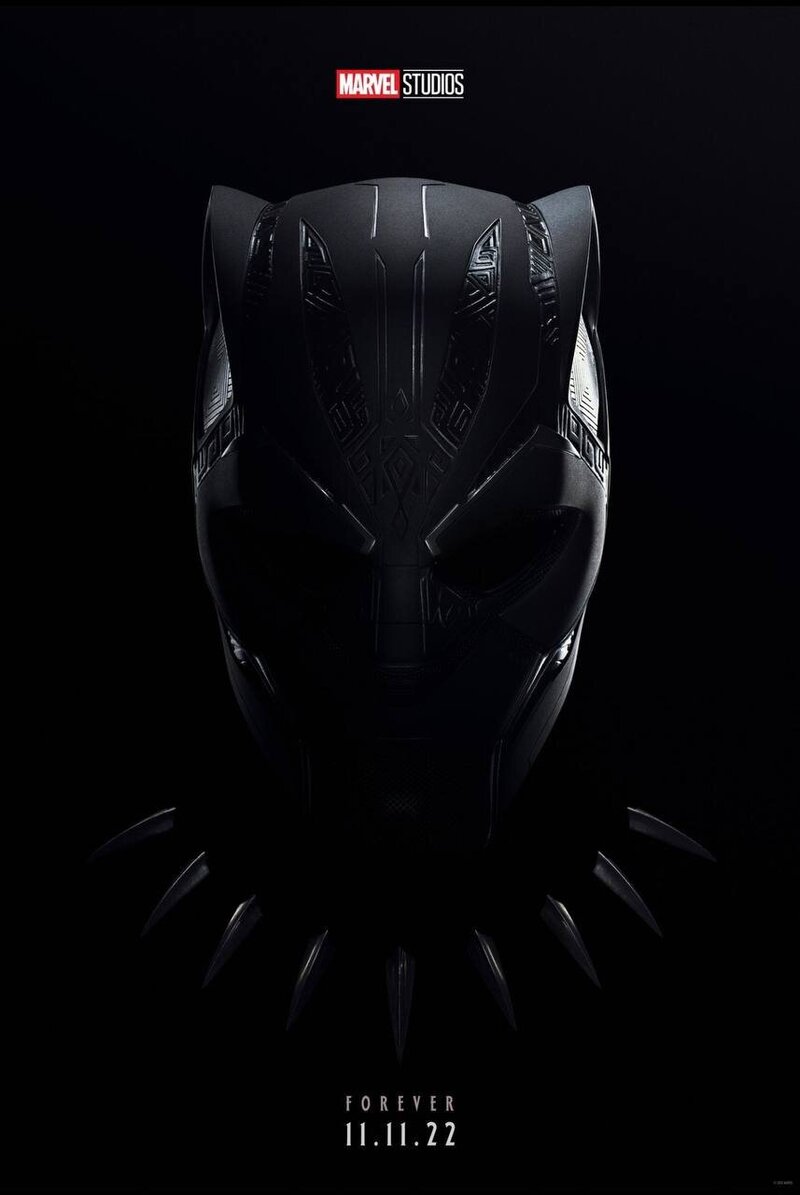 Black Panther: Wakanda Forever (2022) - poster 4