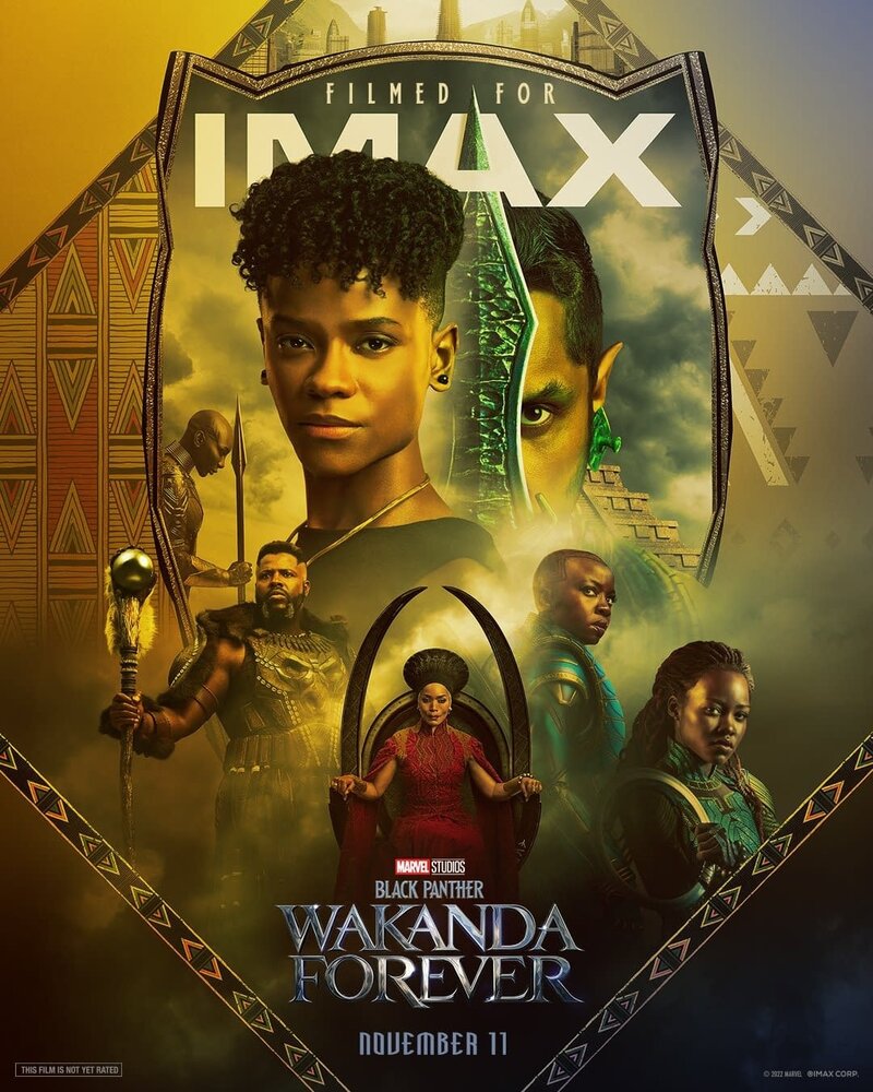 Black Panther: Wakanda Forever (2022) - poster 2
