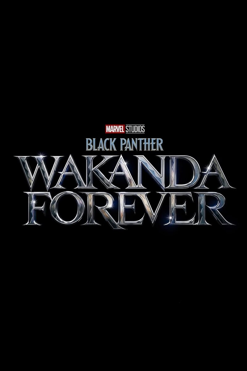 Black Panther: Wakanda Forever (2022) - poster 6