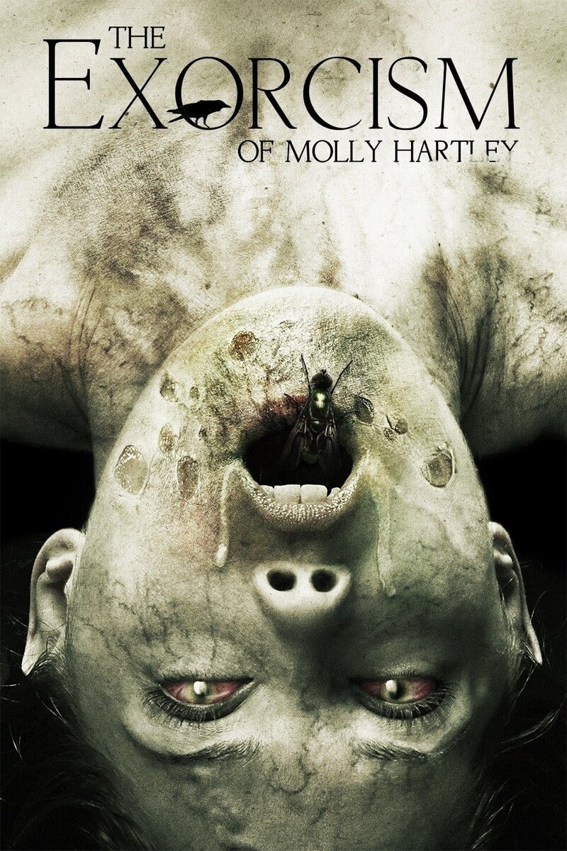 The Exorcism of Molly Hartley (2015) - poster 1