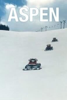 Aspen (1991) - poster 2