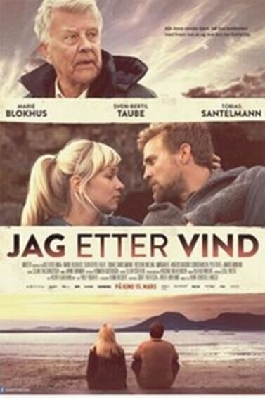 Chasing the Wind (2013) - poster 2