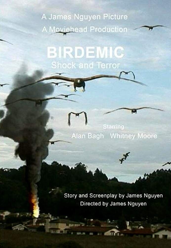 Birdemic: Shock and Terror (2010) - poster 2