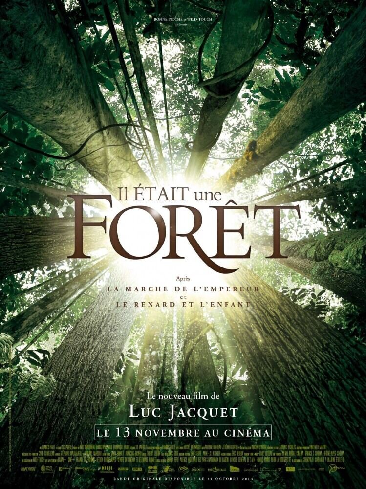 Once Upon a Forest (2013) - poster 2