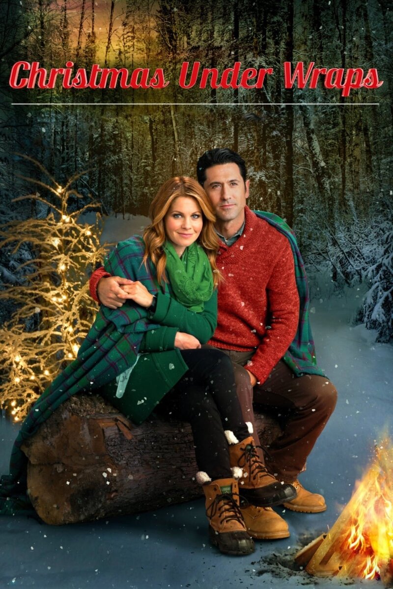 Christmas Under Wraps (2014) - poster 1