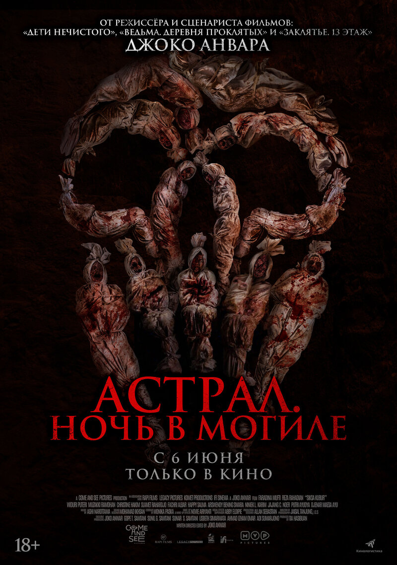 Астрал. Ночь в могиле (2024) - постер 1