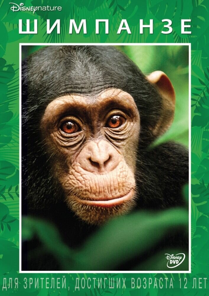 Chimpanzee (2011) - poster 2