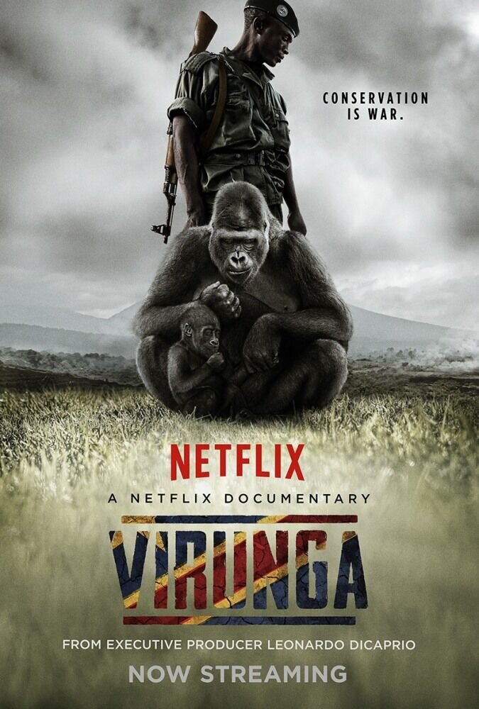 Вирунга (2014) - постер 1