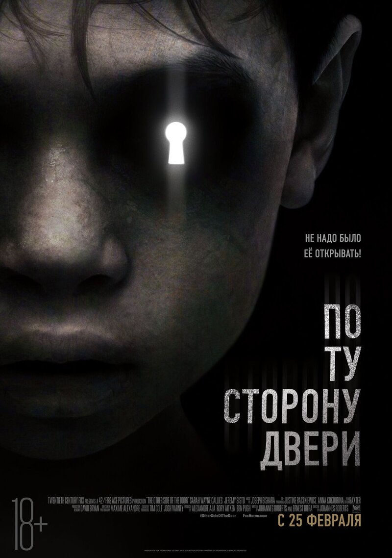 По ту сторону двери (2016) - постер 1