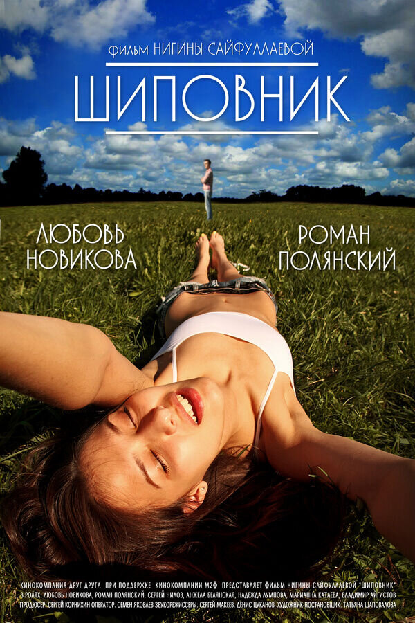 Shipovnik (2011) - poster 1