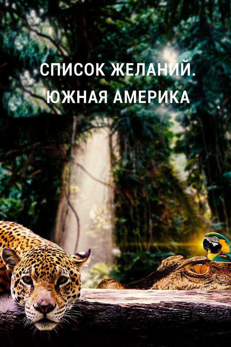 Список желаний. Южная Америка (2020) - постер 1