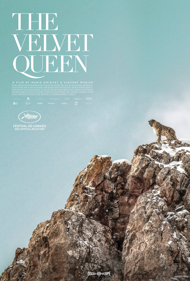 The Velvet Queen (2021) - poster 1