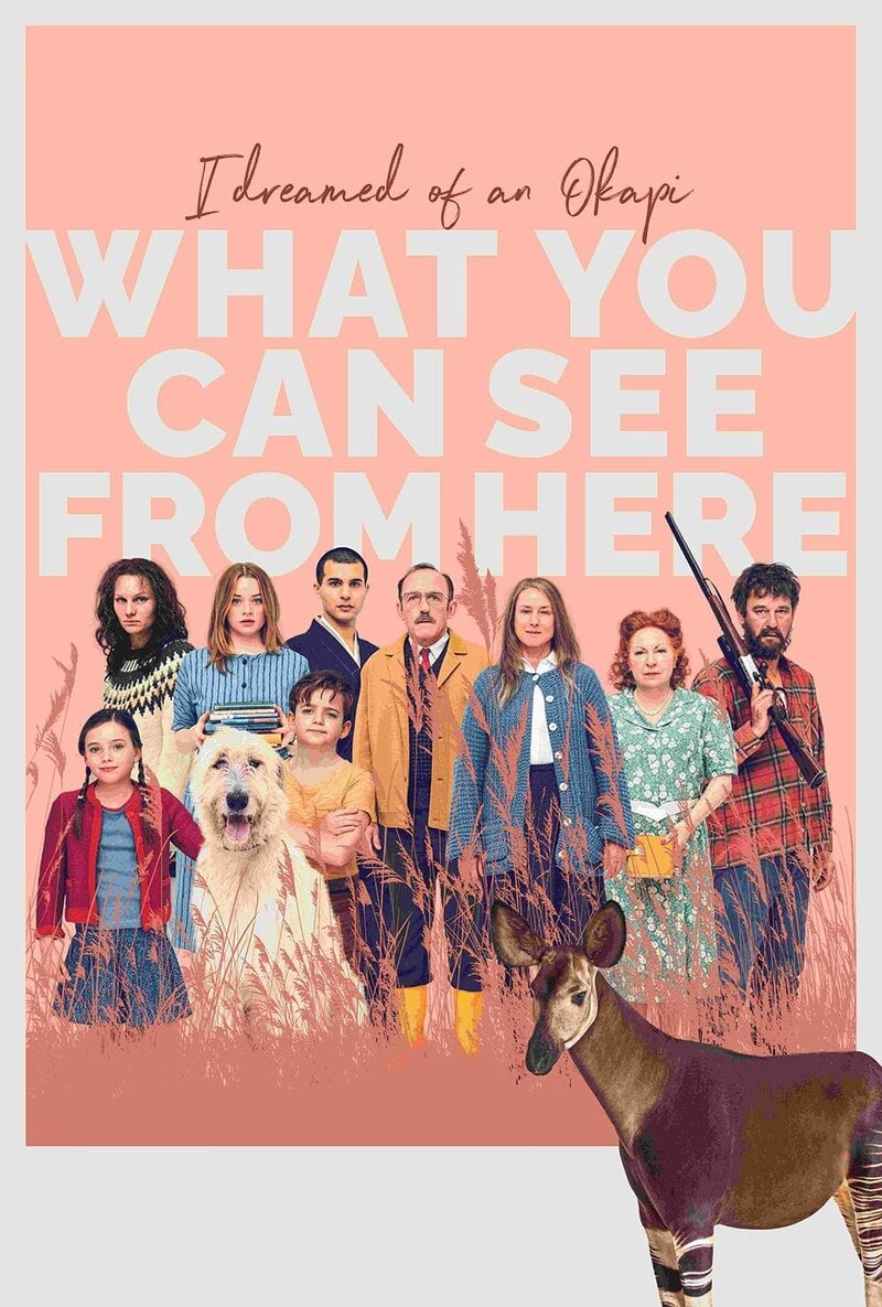 What You Can See from Here (2022) - poster 1