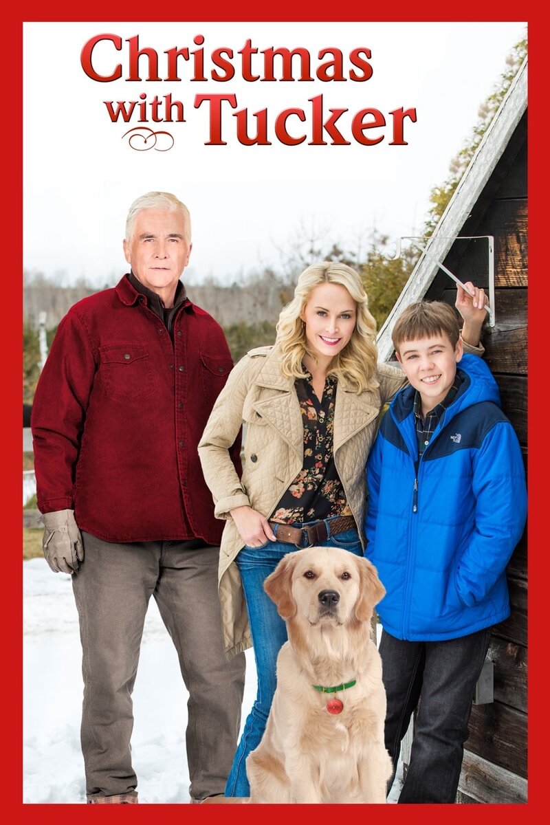 Christmas with Tucker (2013) - poster 1