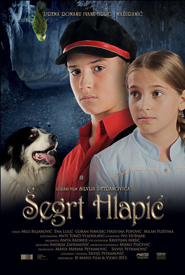 The Brave Adventures of a Little Shoemaker (2013) - poster 1
