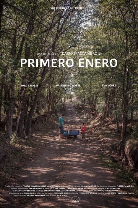 Primero enero (2016) - poster 1