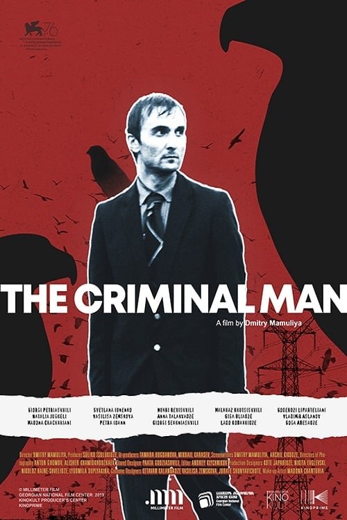 The Criminal Man / Borotmokmedi (2019) - poster 1