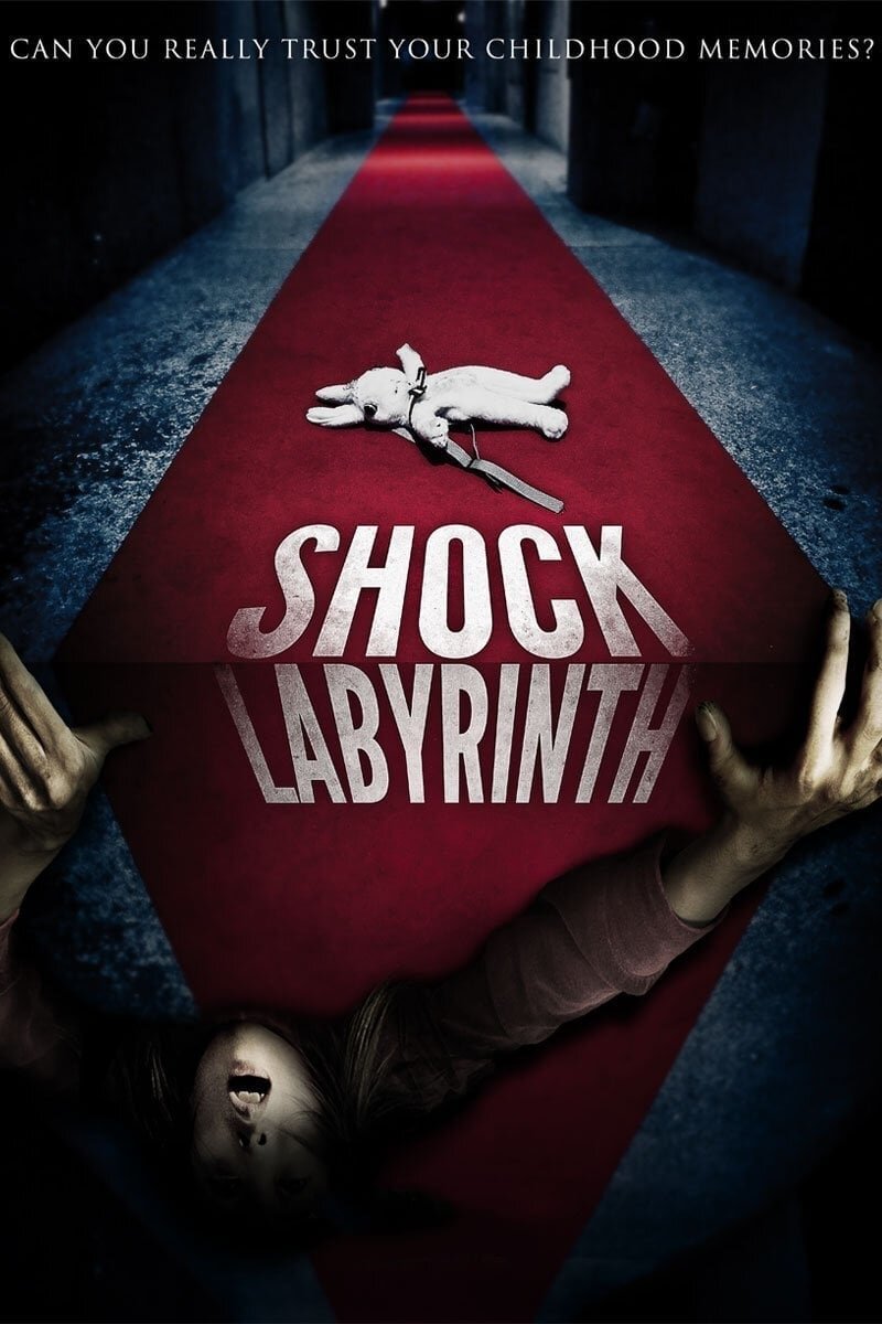 The Shock Labyrinth 3D (2009) - poster 1