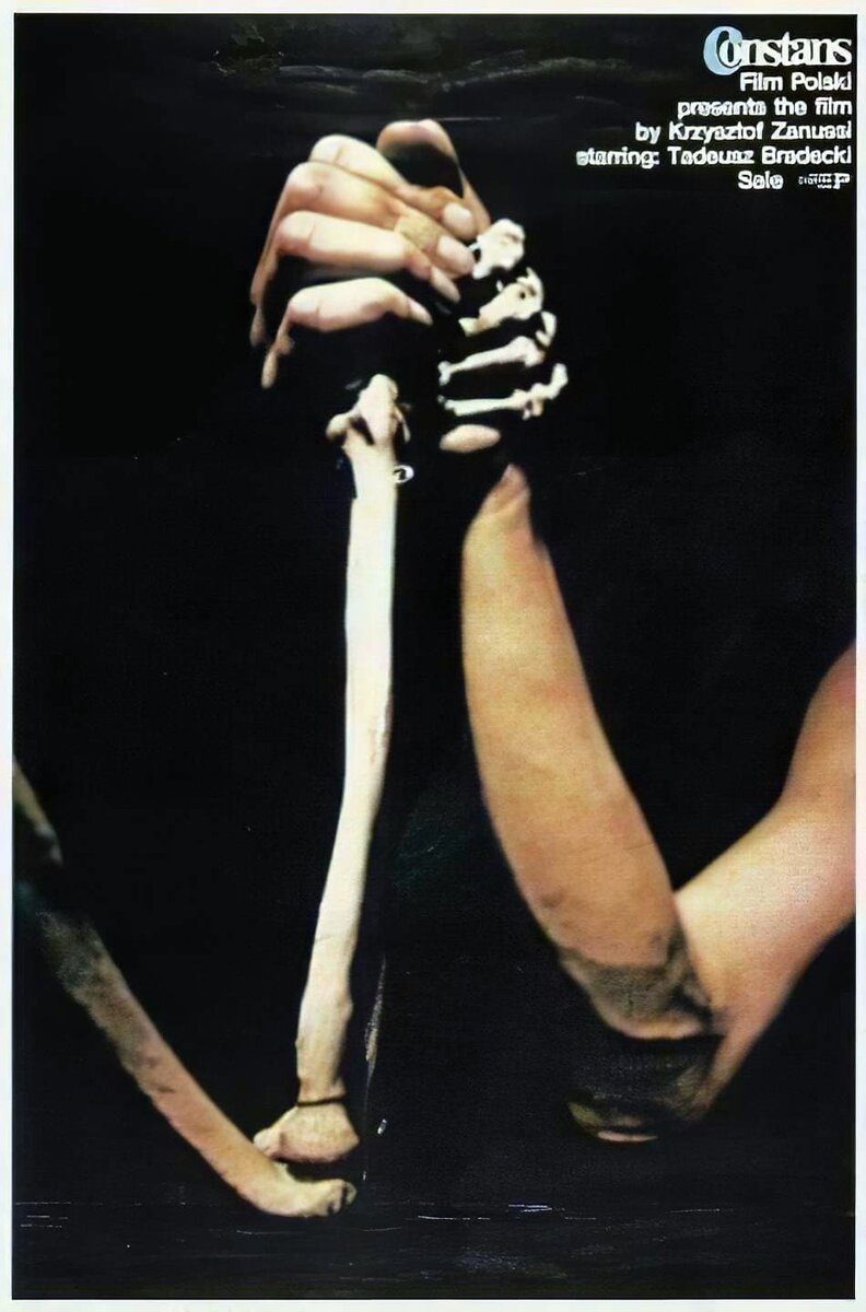 The Constant Factor (1980) - poster 1