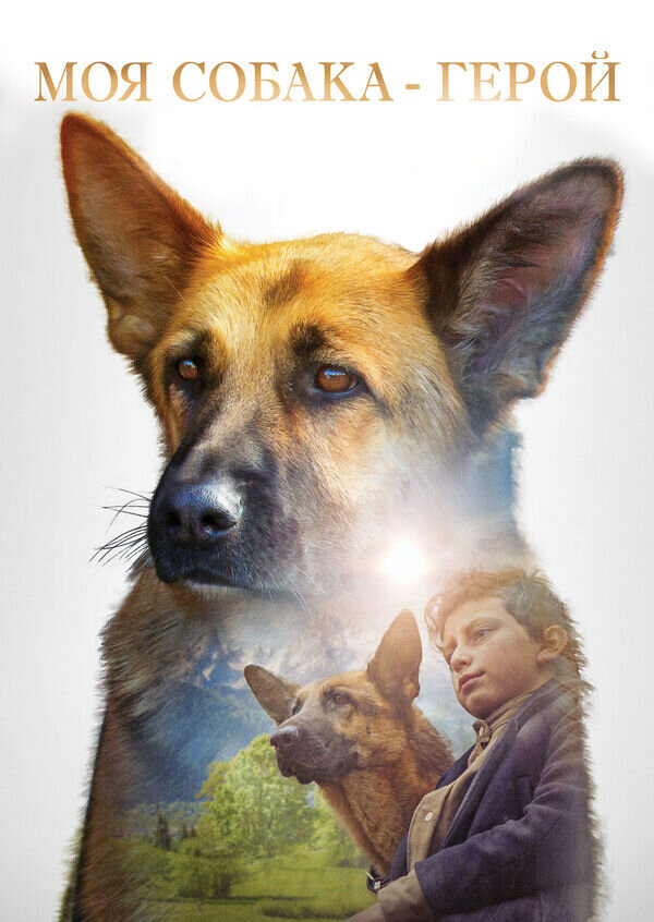 SHEPHERD: The Story of a Jewish Dog (2019) - poster 2