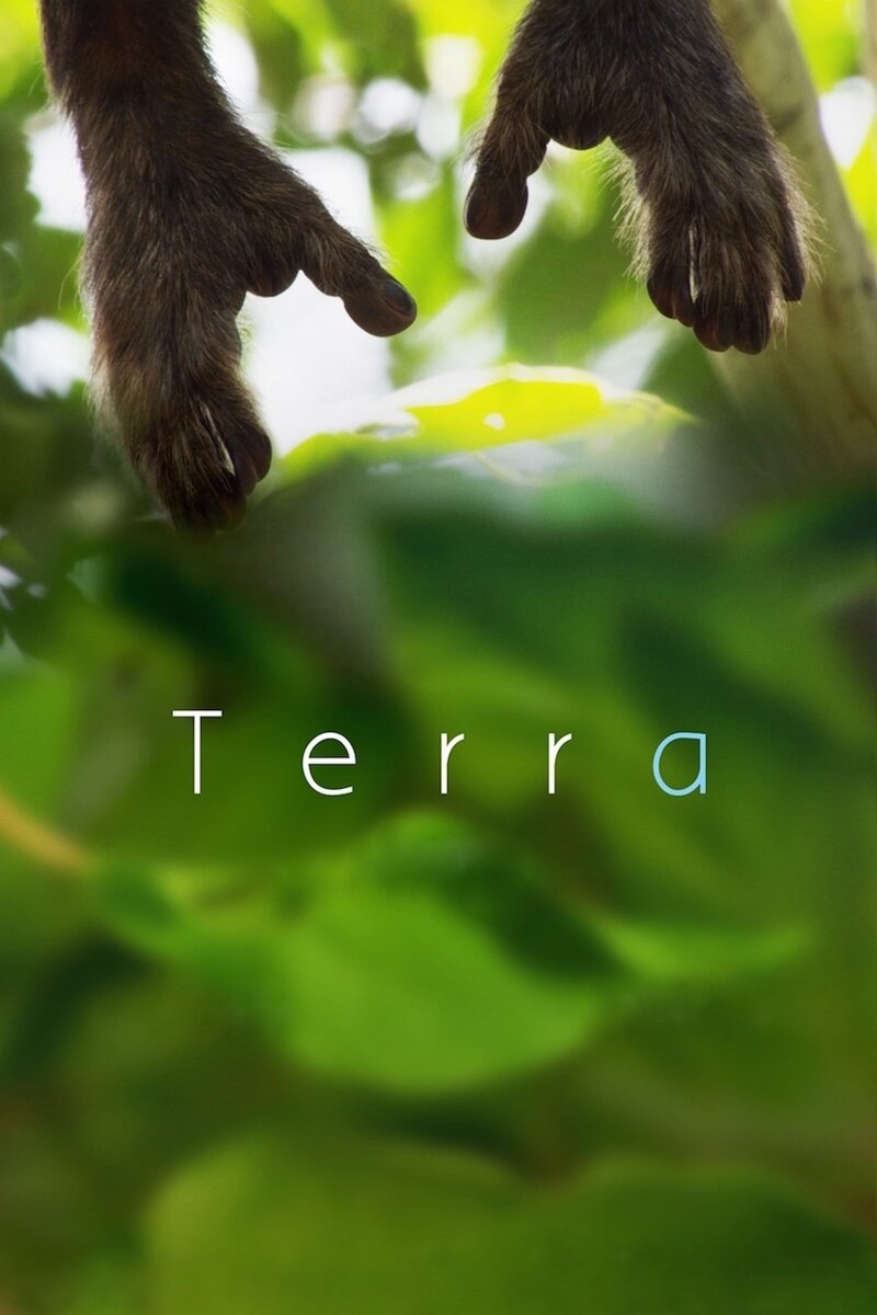 Terra (2015) - poster 1