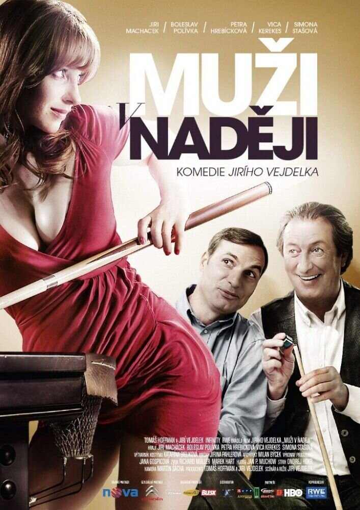 Мужские надежды (2011) - постер 1
