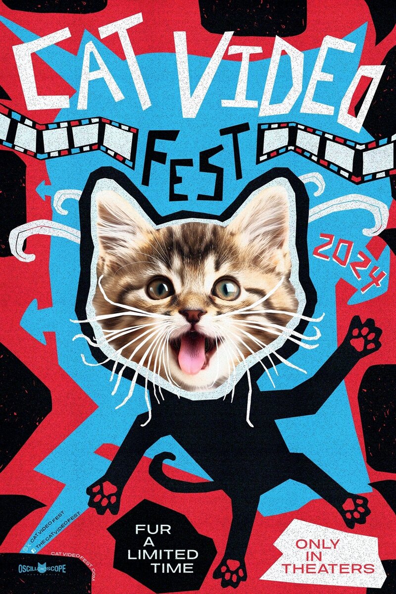 CatVideoFest 2024 (2024) - постер 1
