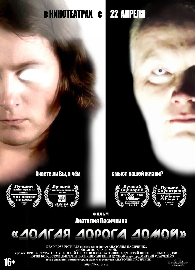 Долгая дорога домой (2017) - постер 1