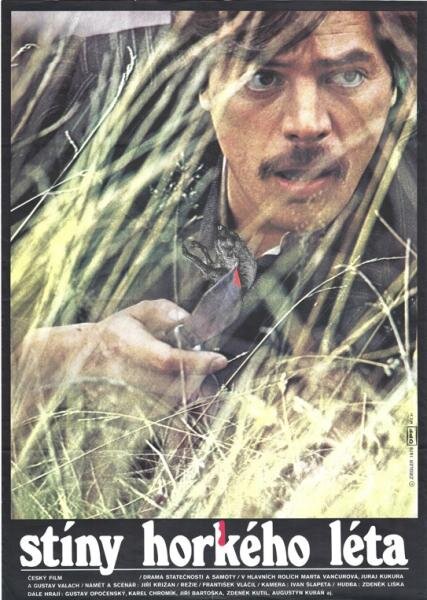 Shadows of a Hot Summer (1978) - poster 1