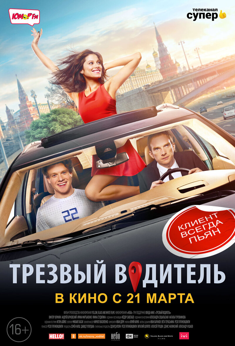 Трезвый водитель (2019) - постер 1