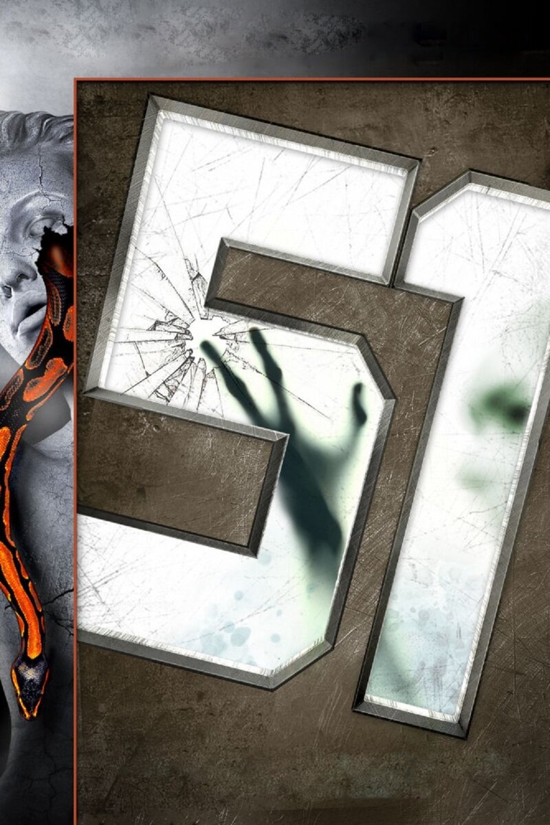 51 (2011) - poster 1