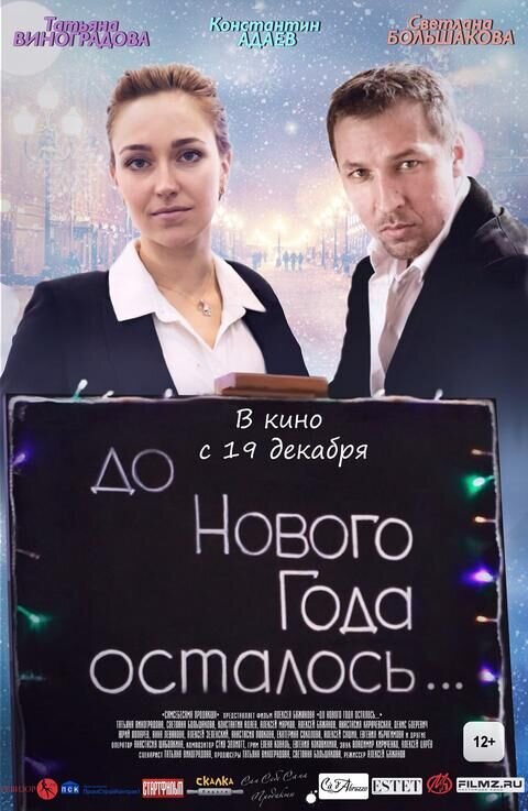 Do Novogo Goda ostalos... (2019) - poster 1