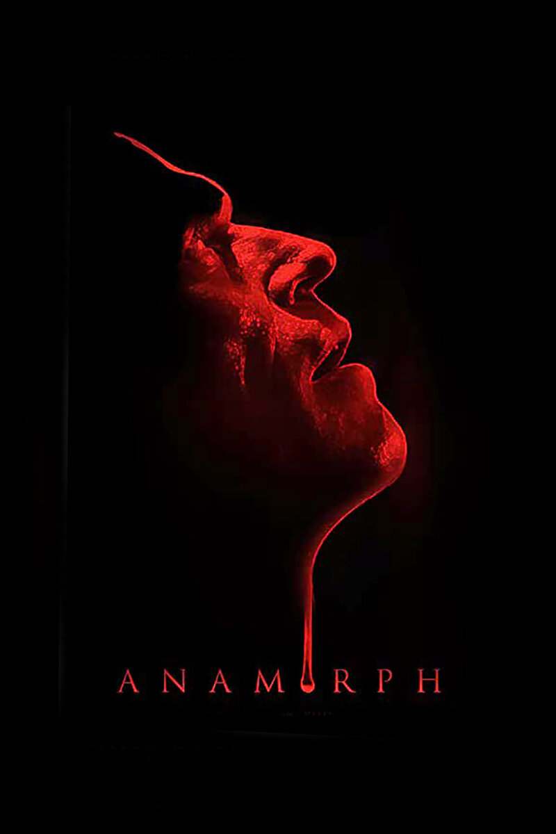 Anamorph (2007) - poster 1