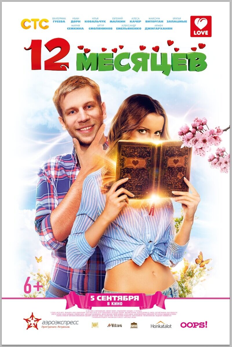 12 месяцев (2012) - постер 1