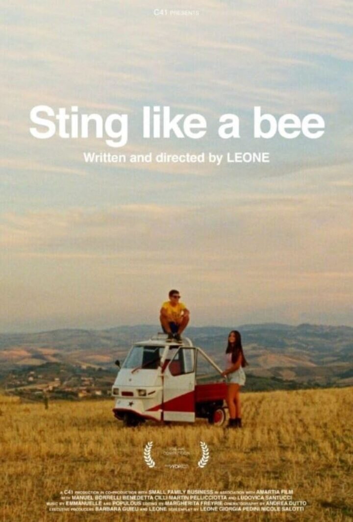 Sting like a Bee (2024) - poster 1