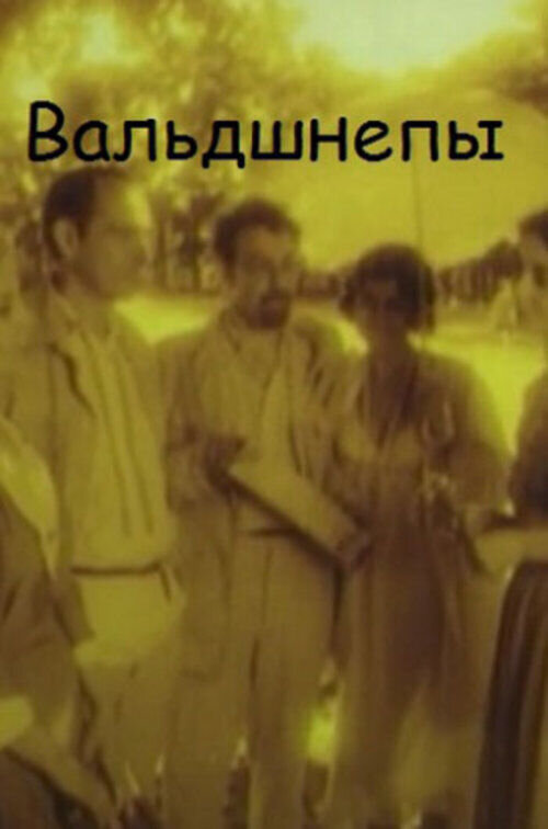 Вальдшнепы (1996) - постер 1