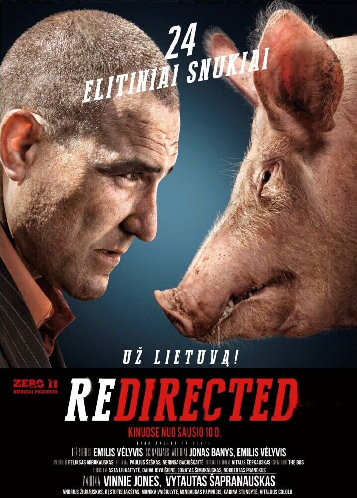 Занесло (2014) - постер 1