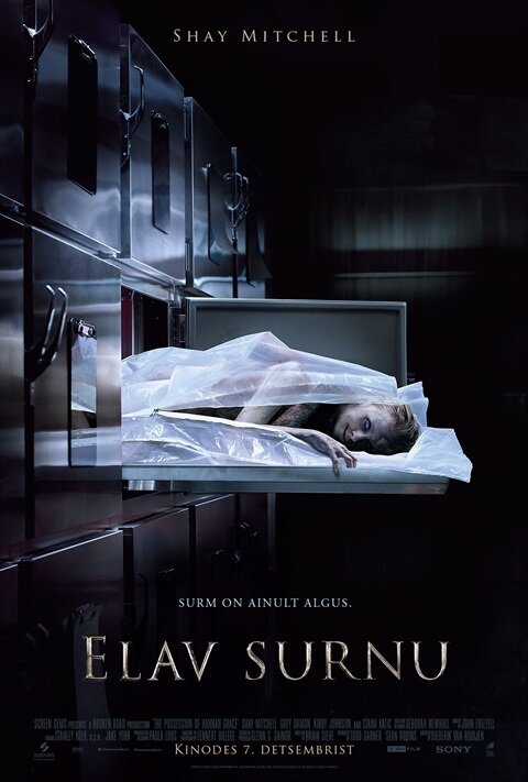 The Possession of Hannah Grace (2018) - poster 5